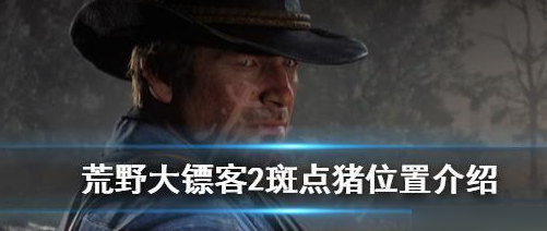 【游戏攻略】荒野大镖客2斑点猪在哪 具体一览游戏攻略_手游下载 第1张 【游戏攻略】荒野大镖客2斑点猪在哪 具体一览游戏攻略_手游下载 第1张