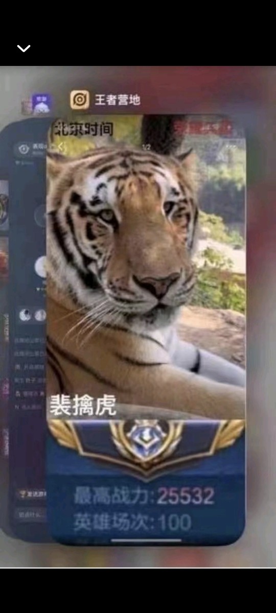 【交流】王者荣耀混分游戏攻略_手游下载 第2张 【交流】王者荣耀混分游戏攻略_手游下载 第2张
