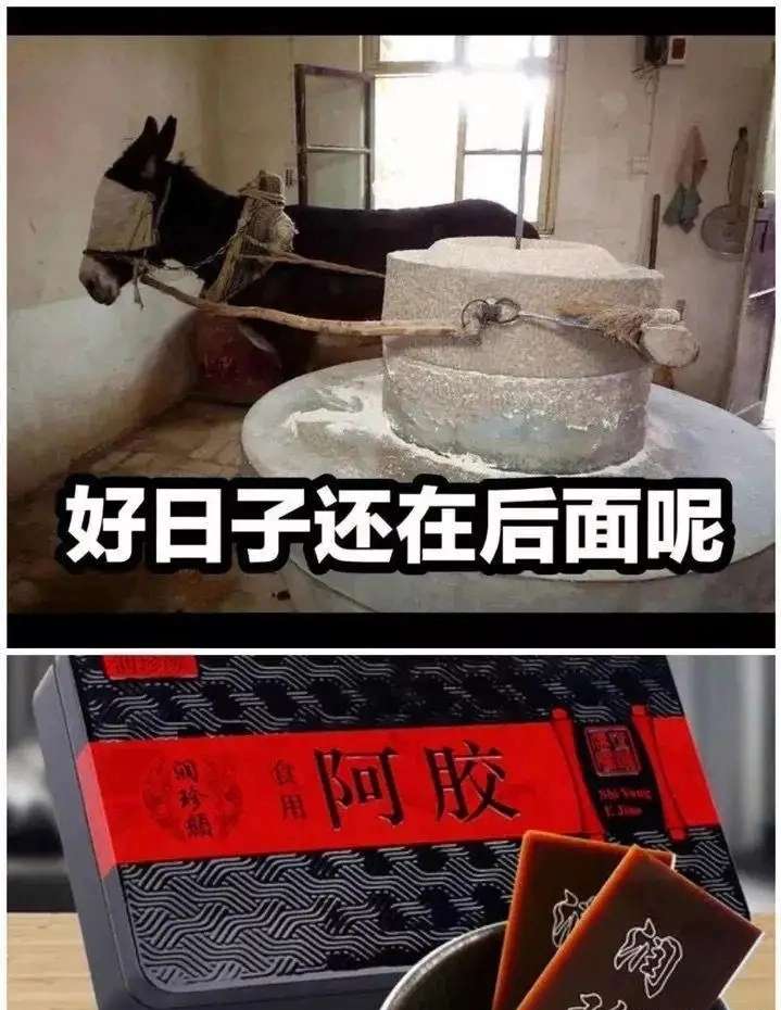 【交流】不懂就问，游戏攻略_手游下载  第1张