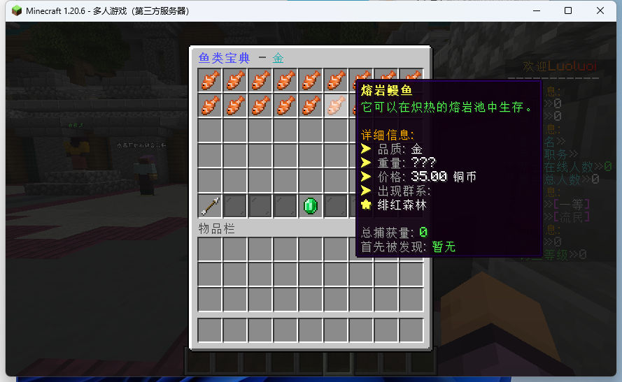 【服务器】[1.20.X]DL服务器｜空岛｜生存｜古代｜养游戏攻略_手游下载  第9张
