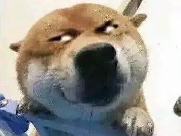 新斯嘎真好用游戏攻略_手游下载
