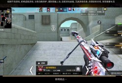 穿越火线之枪战王者不显示(穿越火线枪战王者怎么不显示v几)