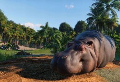 【端游推荐】动物园之星 v1.2.5.6+全DLC【阿里云盘】游戏攻略_手游下载