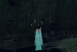 天涯明月刀端游视频，天涯明月刀端游战斗视频