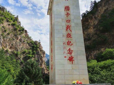 激战腊子口故事简介，激战腊子口的故事梗概