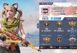 和平精英找队友游戏攻略_手游下载