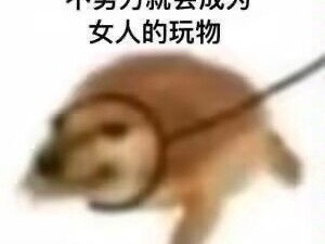 王者怎么提升实力变得更强游戏攻略_手游下载