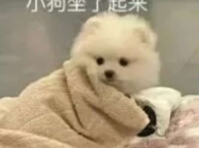 【闲聊】有无手持红魔7和红魔7s的大佬游戏攻略_手游下载