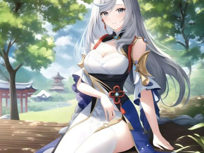 【原神图片】5.2-2游戏攻略_手游下载