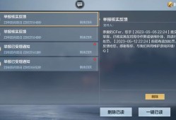【闲聊】fw东西开挂也打不赢游戏攻略_手游下载