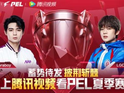 【搬砖】蓄势待发，披荆斩棘，看2023PEL夏季赛游戏攻略_手游下载