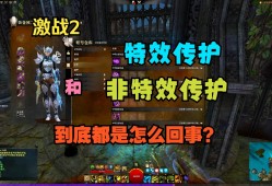 激战2多少钱能抽到传护，激战2第一套传护做什么好