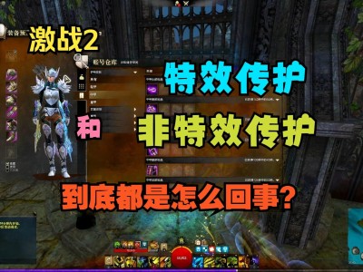 激战2多少钱能抽到传护，激战2第一套传护做什么好