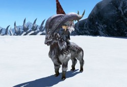 ff14陆行鸟怎么领取，ff14陆行鸟任务在哪接