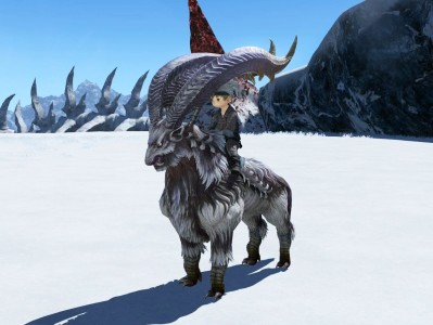 ff14陆行鸟怎么领取，ff14陆行鸟任务在哪接