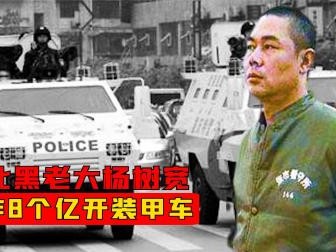 唐山杨树宽装甲车图片(杨树宽开装甲车巡街的唐山大佬)