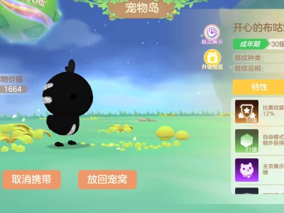 黑鸡到手🏀游戏攻略_手游下载