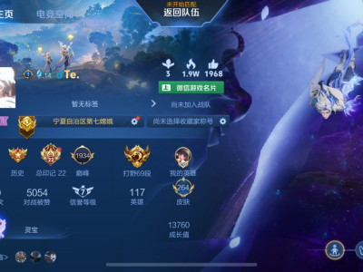 【交流】v区表现分有没有打的游戏攻略_手游下载