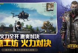 和平精英单机版下载(和平精英单机版下载链接)
