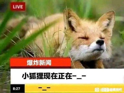 关于修改昵称游戏攻略_手游下载