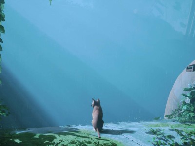 【端游推荐】迷失 Stray 中文 v1.4.227【阿里云盘】游戏攻略_手游下载