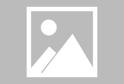 【手游推荐】动物森友会：口袋露营广场游戏攻略_手游下载