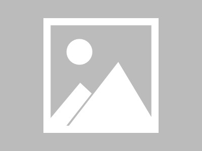 【AI攻略】从入门到通关游戏攻略_手游下载