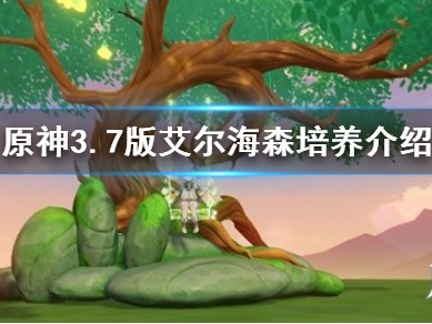 【原神搬运】《原神》艾尔海森怎么培养？ 3.7版艾尔海森培养介绍游戏攻略_手游下载