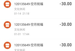 开服玩家练习时长两年半游戏攻略_手游下载