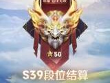 【交流】终于上荣耀了（感觉国士无双更有威慑力）游戏攻略_手游下载