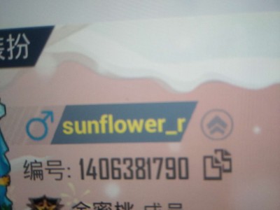 和平精英赞力值游戏攻略_手游下载
