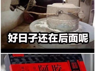 【交流】不懂就问，游戏攻略_手游下载
