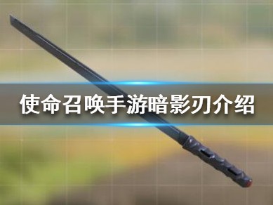 使命召唤手游暗影归来转盘(使命召唤手游的暗影刀怎么获得)