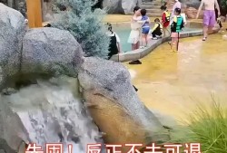 冒险岛水世界门票价格，冒险岛水世界什么时候闭园