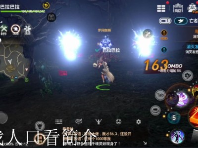 剑灵2手游怎么设置中文_剑灵2手游怎么设置中文语音