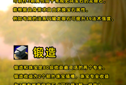 魔兽世界巫妖王之怒最赚钱职业(魔兽世界巫妖王之怒版本什么职业厉害)