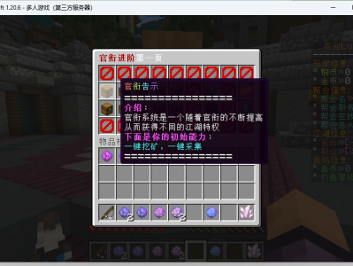 【服务器】[1.20.X]DL服务器｜空岛｜生存｜古代｜养游戏攻略_手游下载