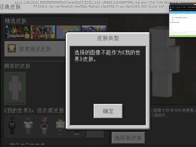 【求助】求助，1.20自己的皮肤没法导入游戏攻略_手游下载