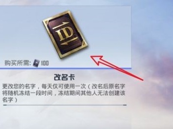 【攻略】《和平精英》改名卡兑换码最新大全2023游戏攻略_手游下载