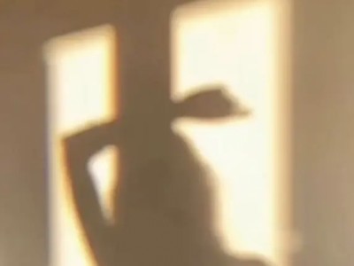 【王者女神】喵喵喵，听说你想养一只猫？游戏攻略_手游下载