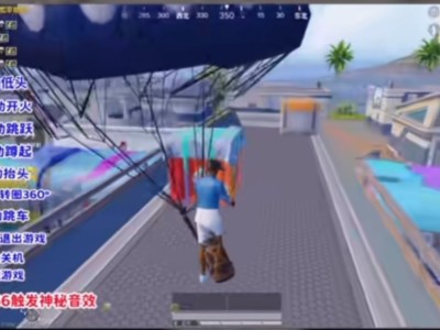 【求助】 和平精英直播开枪之类的游戏攻略_手游下载