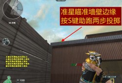【资讯】看比赛学技术，港口CFS职业选手同款闪光弹教学游戏攻略_手游下载