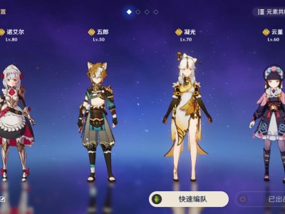 【求助】诺艾尔怎么配队游戏攻略_手游下载