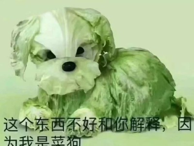 纳西妲小毕业面板长什么样？游戏攻略_手游下载