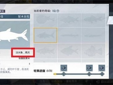 【攻略】和平精英绿洲世界什么时候下雨游戏攻略_手游下载