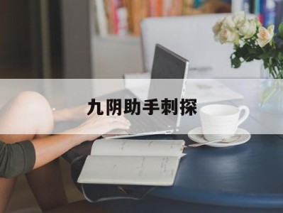 九阴助手刺探(九阴助手2124)