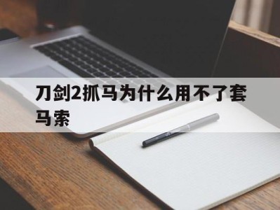 刀剑2抓马为什么用不了套马索_刀剑2怎么套马索没反应