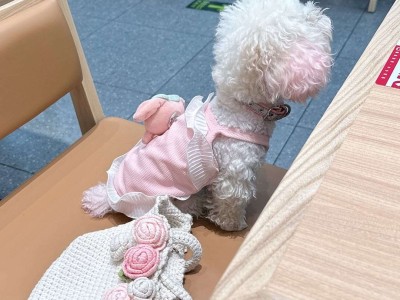 有没有青铜到王者百胜的游戏攻略_手游下载
