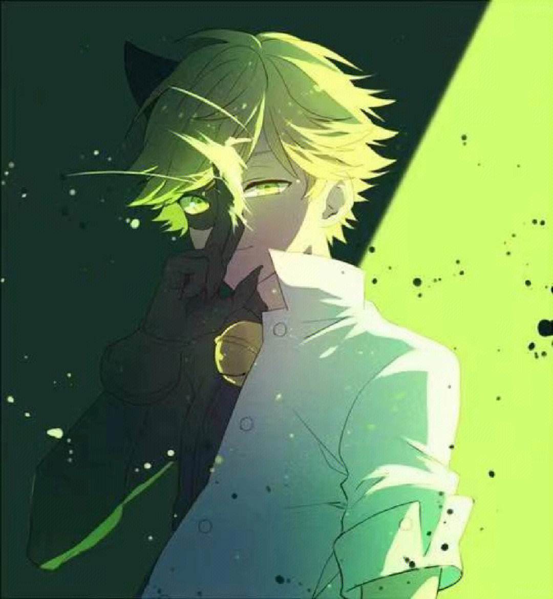 奇迹少女和黑猫罗尔什么时候相认，奇迹少女和黑猫罗尔什么时候相认在第几集  第2张