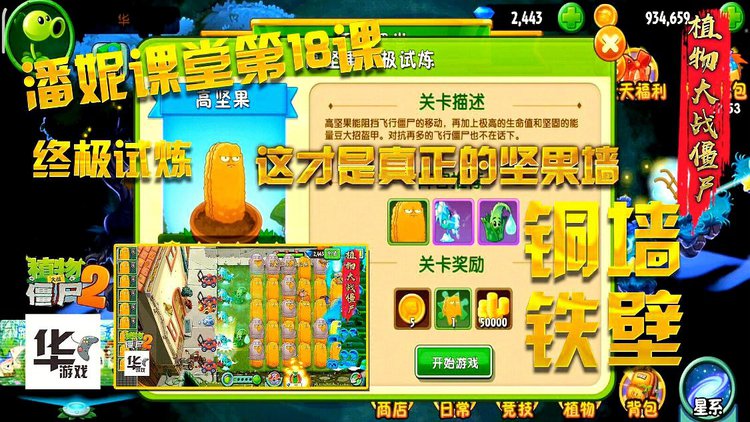 植物大战僵尸2攻略潘妮课堂(植物大战僵尸2攻略潘妮课堂电磁蓝梅)  第2张